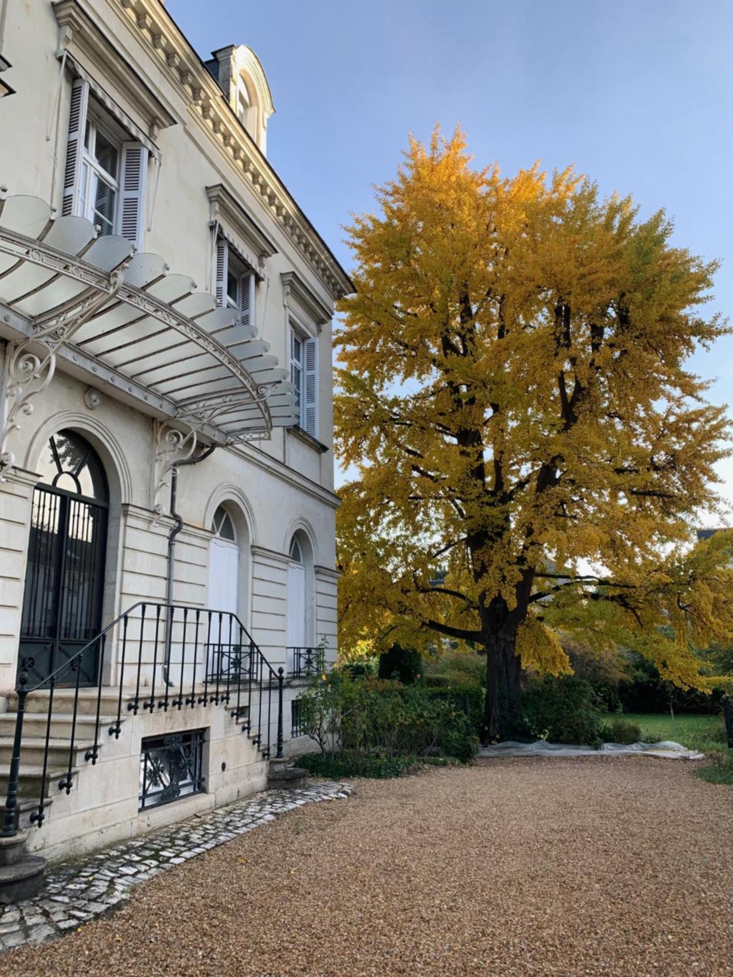 A L'Abri Du Ginkgo Apartment Tours Exterior photo