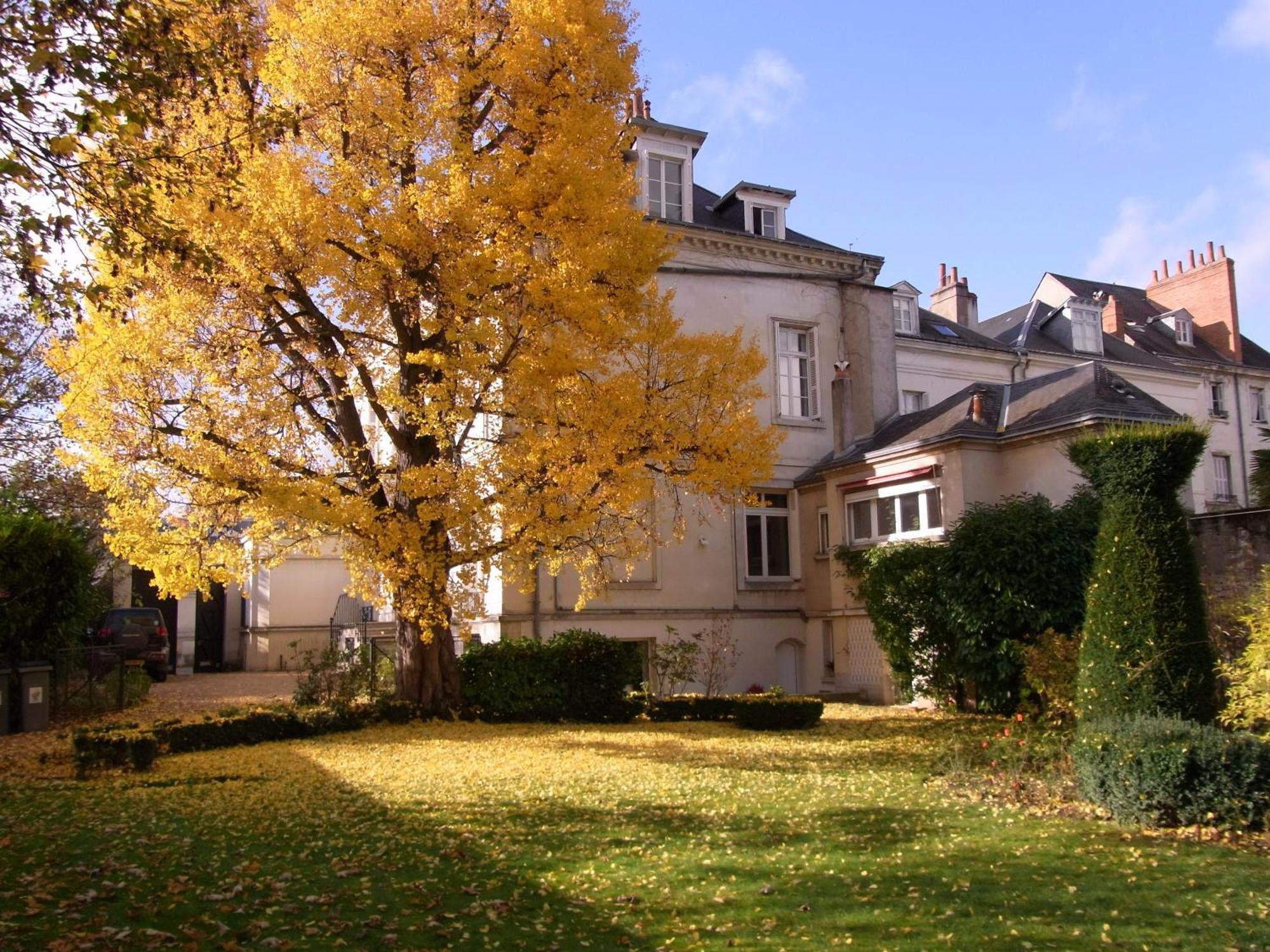 A L'Abri Du Ginkgo Apartment Tours Exterior photo